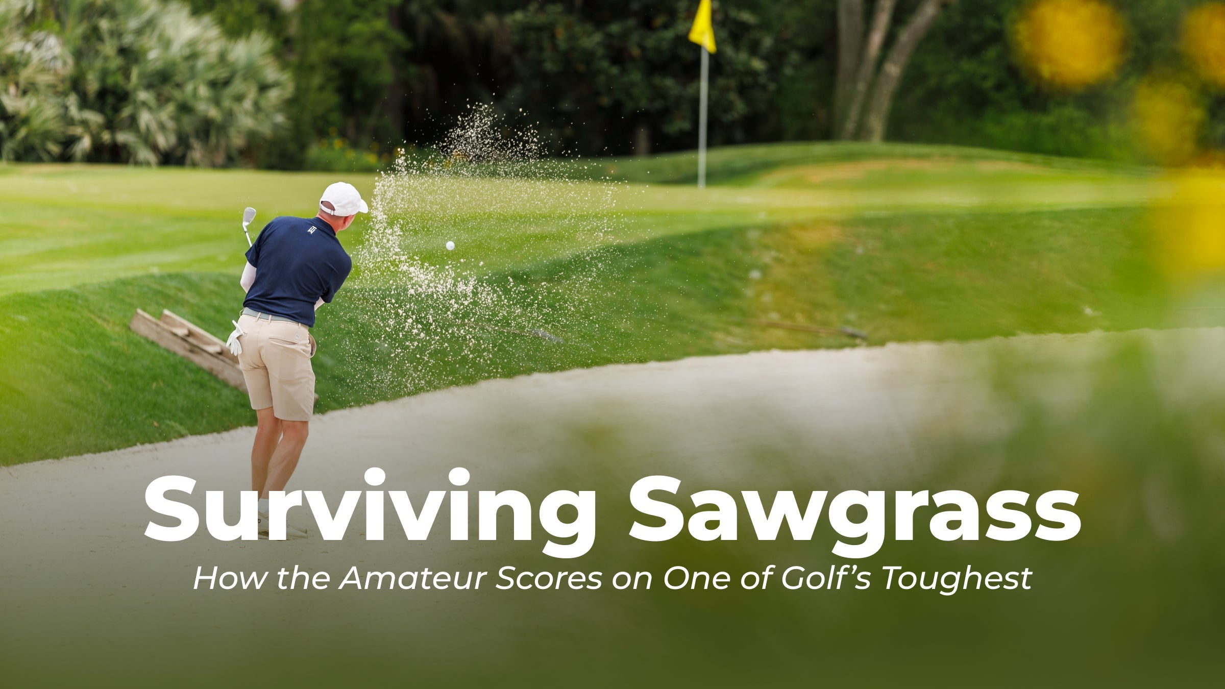 Surviving Sawgrass - How the Amateur Scores on One of Golf's Toughest Course