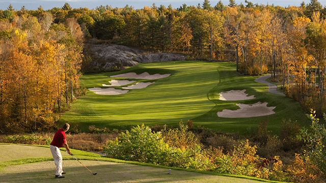 Arccos Features for Better Fall Golf