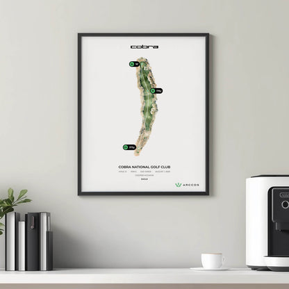 COBRA Custom Hole Prints